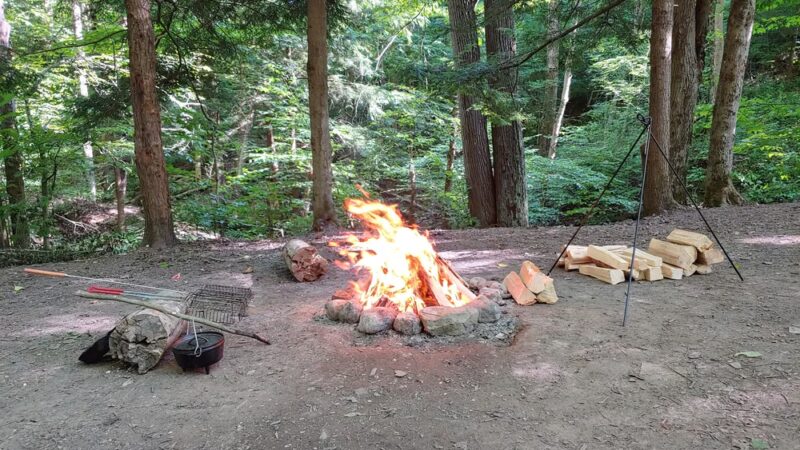 East Otto State Forest Campground - East Otto, NY