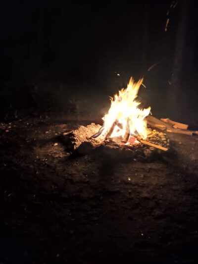 East Otto State Forest Campground - East Otto, NY