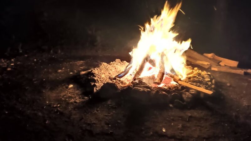 East Otto State Forest Campground - East Otto, NY