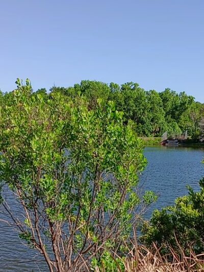 Edgefield Parcel - East Palatka, FL