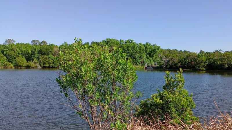 Edgefield Parcel - East Palatka, FL