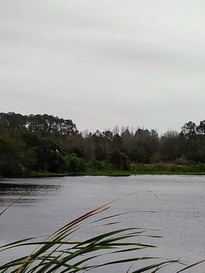 Edgefield Parcel - East Palatka, FL
