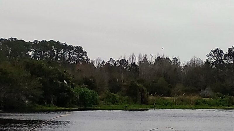 Edgefield Parcel - East Palatka, FL