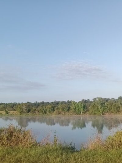 Edgefield Parcel - East Palatka, FL