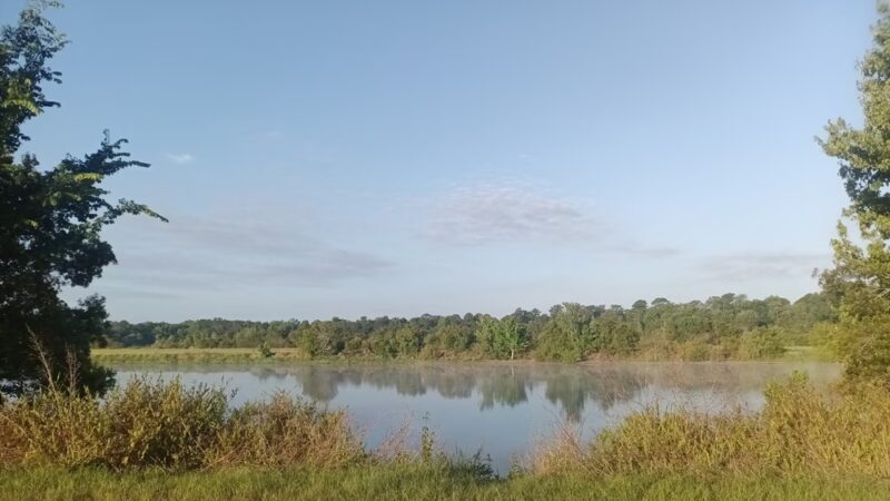 Edgefield Parcel - East Palatka, FL