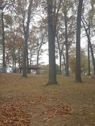 Concrest Park - East Rochester, NY