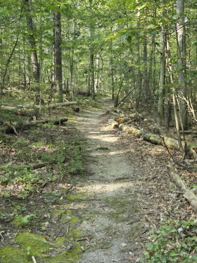 Mt. Nebo Park - East Stroudsburg, PA
