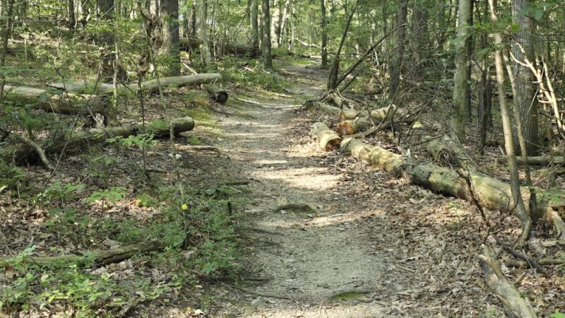 Mt. Nebo Park - East Stroudsburg, PA