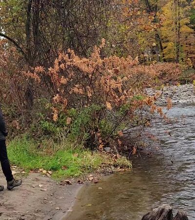 Pinebrook Park - East Stroudsburg, PA