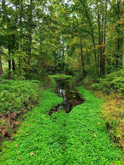 Pinebrook Park - East Stroudsburg, PA