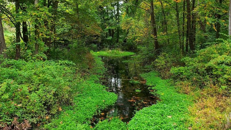 Pinebrook Park - East Stroudsburg, PA