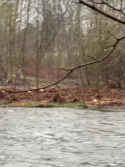 Yetter Park - East Stroudsburg, PA