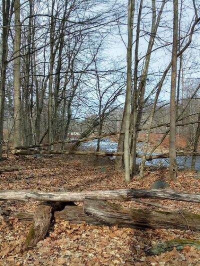 Yetter Park - East Stroudsburg, PA