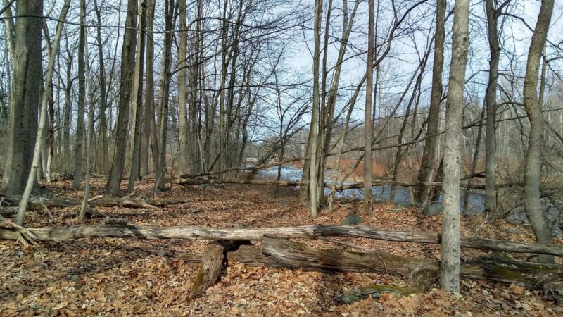 Yetter Park - East Stroudsburg, PA