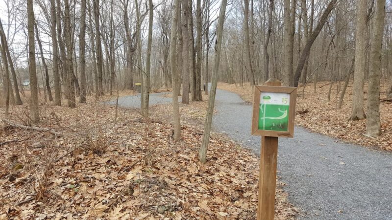 Yetter Park - East Stroudsburg, PA