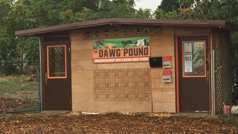 Dawg Pound Dog Park Off-Leash - East Wenatchee, WA