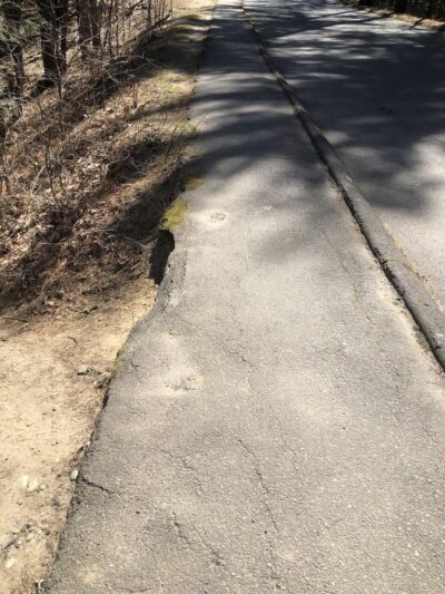 L. E. Toteman Nature Trail - Easthampton, MA