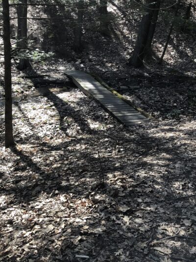 L. E. Toteman Nature Trail - Easthampton, MA