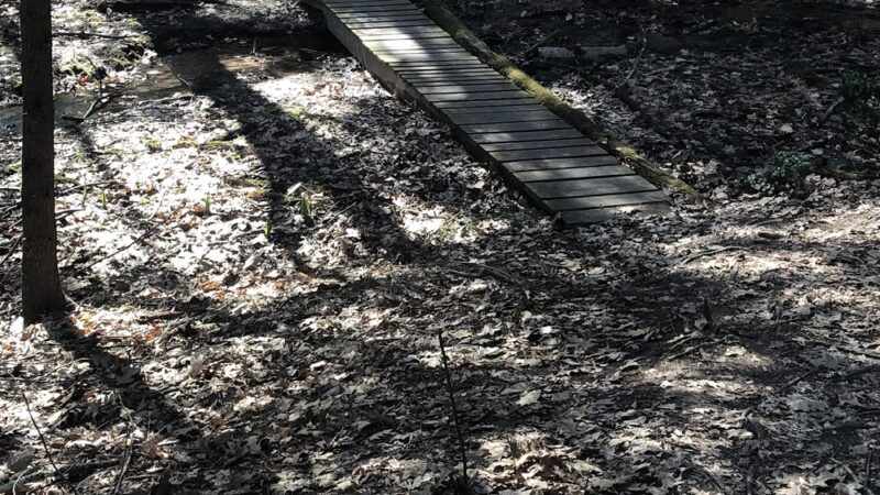 L. E. Toteman Nature Trail - Easthampton, MA