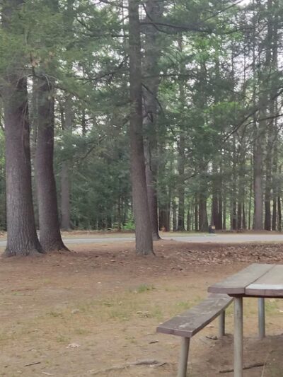 Nonotuck Park - Easthampton, MA