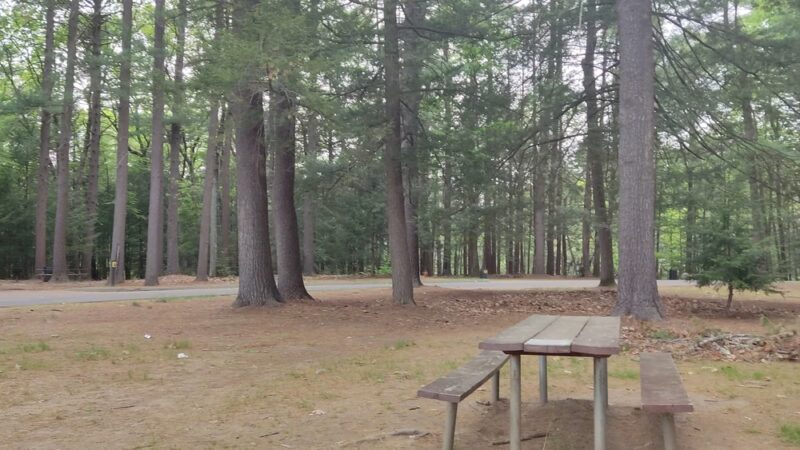 Nonotuck Park - Easthampton, MA
