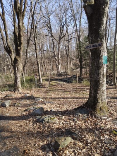 Paine Open Space - Easton, CT