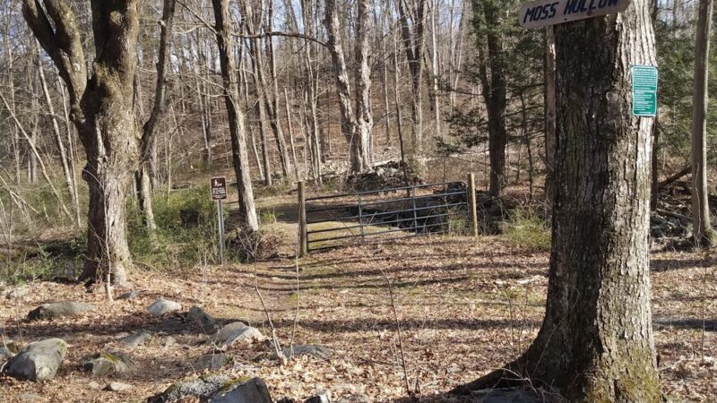 Paine Open Space - Easton, CT