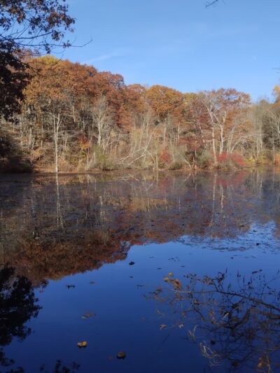 Paine Open Space - Easton, CT