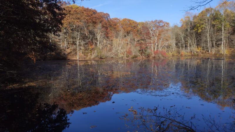 Paine Open Space - Easton, CT