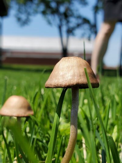 Fairview Park - Easton, PA