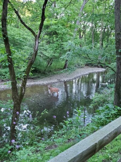 Keystone Park - Easton, PA