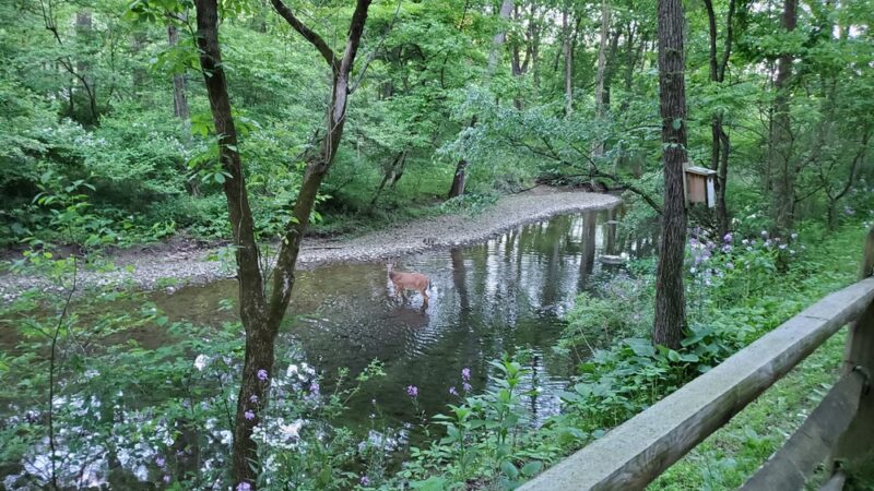 Keystone Park - Easton, PA