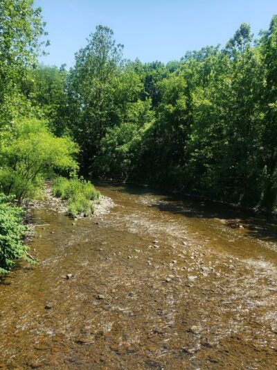 Mill Race Park - Easton, PA