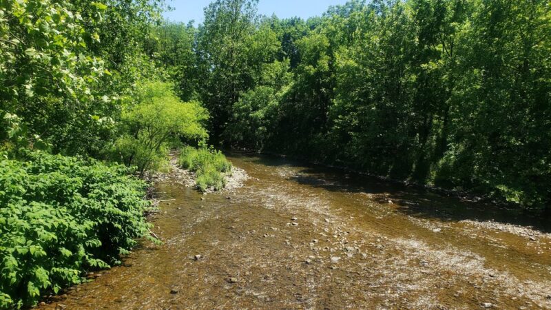 Mill Race Park - Easton, PA