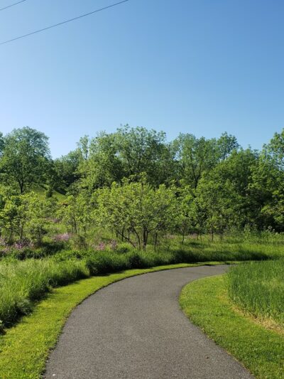 Mill Race Park - Easton, PA