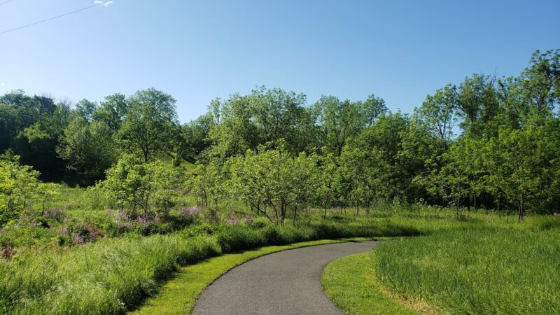 Mill Race Park - Easton, PA