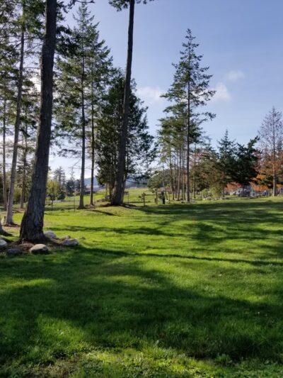 Dog Park - Eastsound, WA