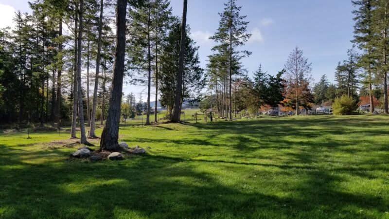 Dog Park - Eastsound, WA