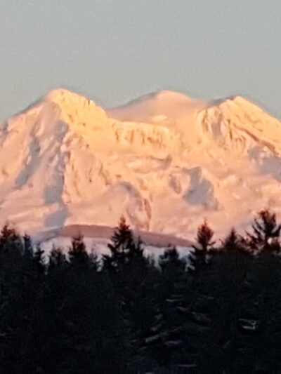 Dogwood Park - Eatonville, WA