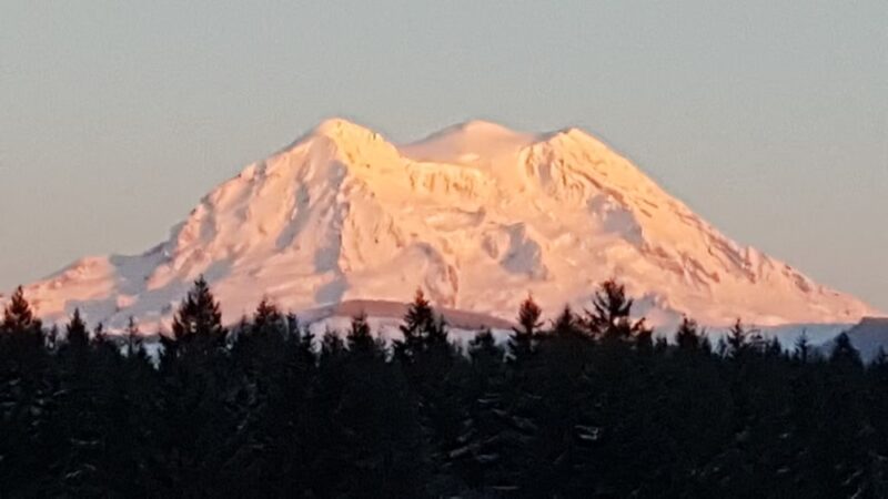 Dogwood Park - Eatonville, WA
