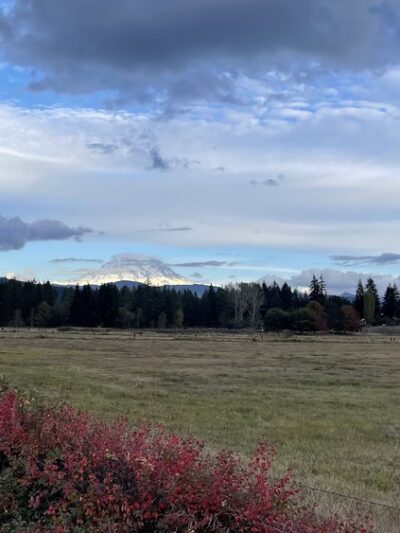 Dogwood Park - Eatonville, WA