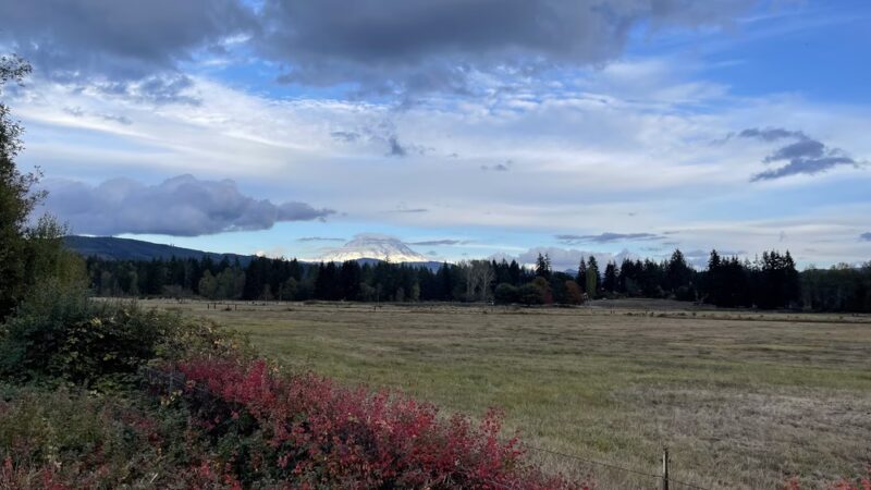 Dogwood Park - Eatonville, WA