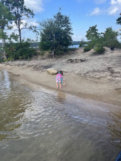 Cheeseburger Island - Eclectic, AL