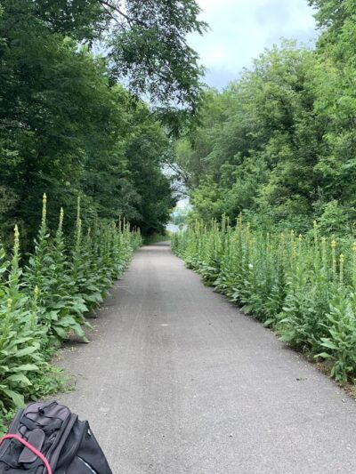 Cardinal Greenway Economy Trailhead - Economy, IN