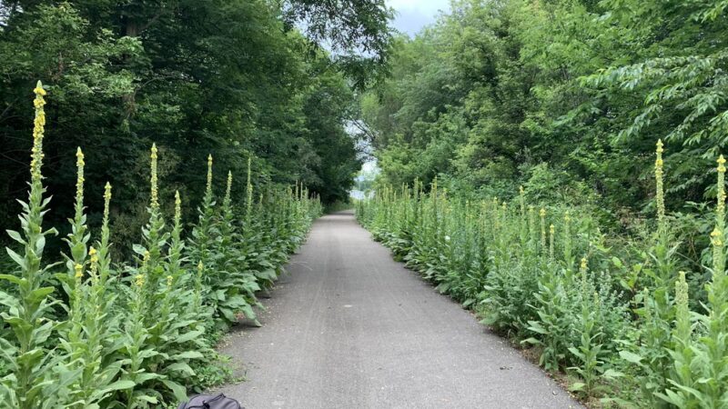 Cardinal Greenway Economy Trailhead - Economy, IN