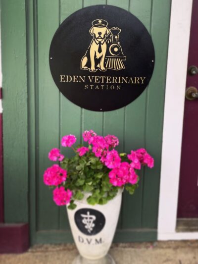 Eden Veterinary Station - Eden, NY
