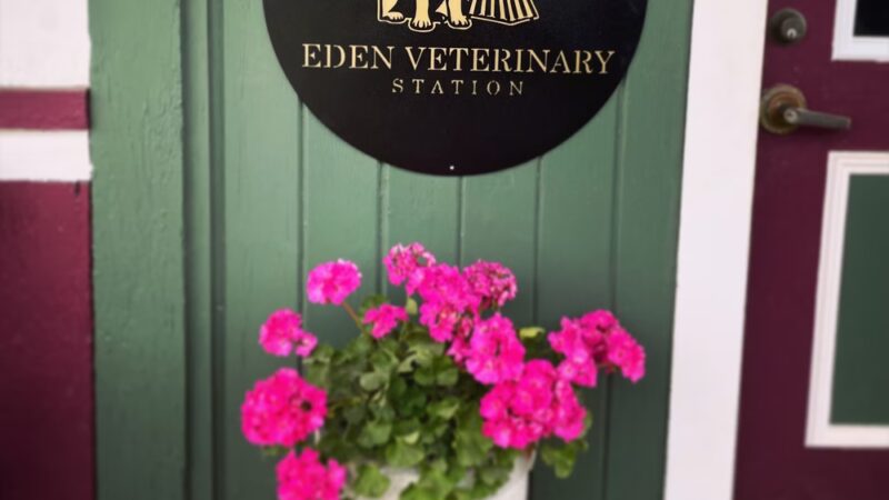 Eden Veterinary Station - Eden, NY