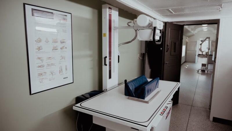 Eden Veterinary Station - Eden, NY