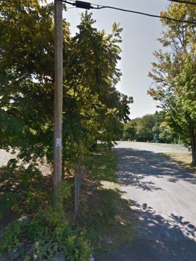 Flower Field - Eden, NY