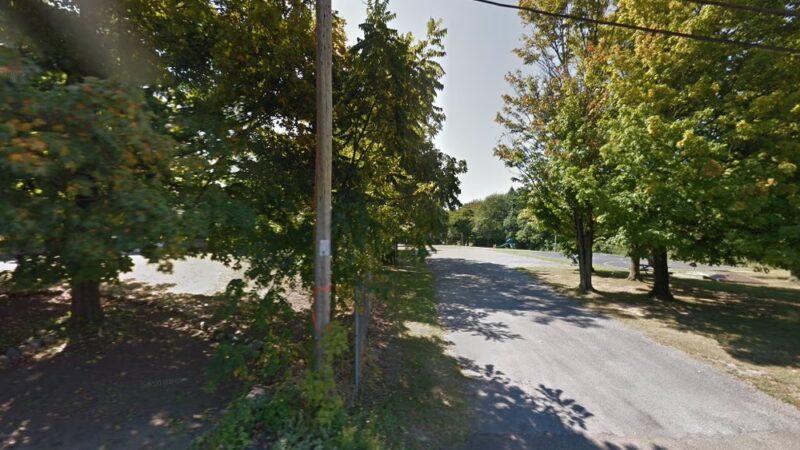 Flower Field - Eden, NY